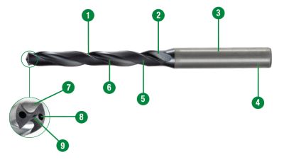 Top Drill S Body & Point with Numbered Labels