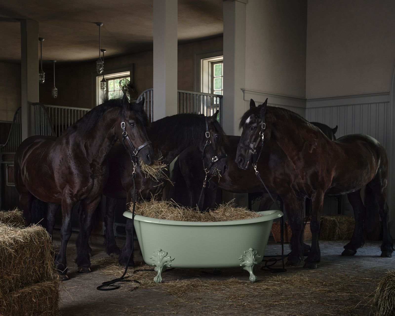 An off white cast iron clawfoot bathtub with ornate detailing surrounded by horses inside a barn.