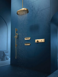 Kohler hotsell shower