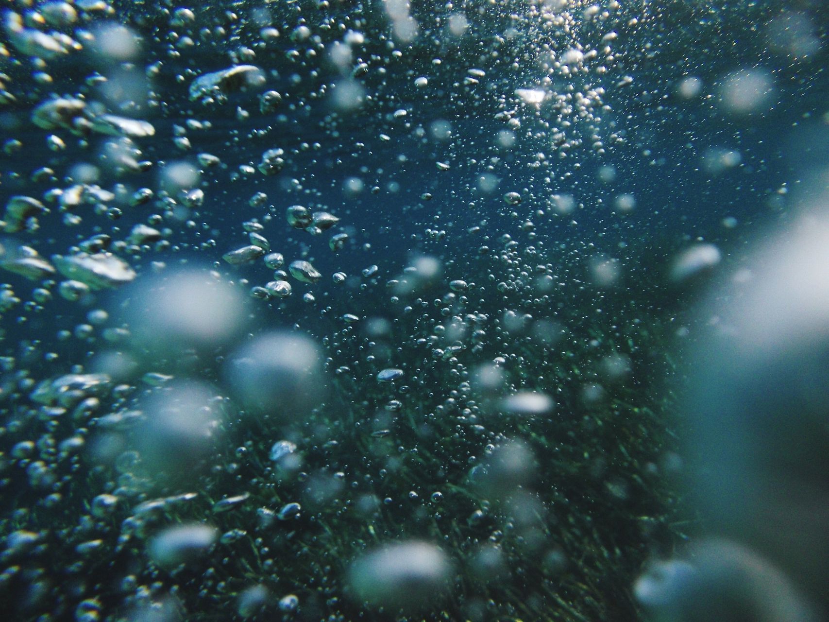 Tiny bubbles shown from under the surface of the water.