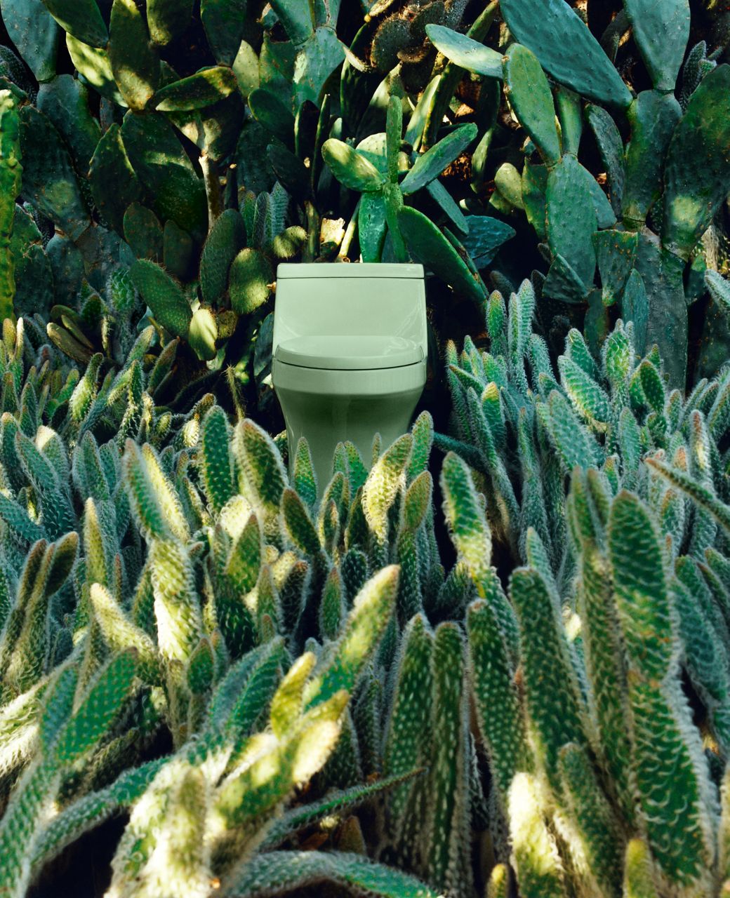 A profile image of a pale green toilet with the lid shut surrounded by cacti.