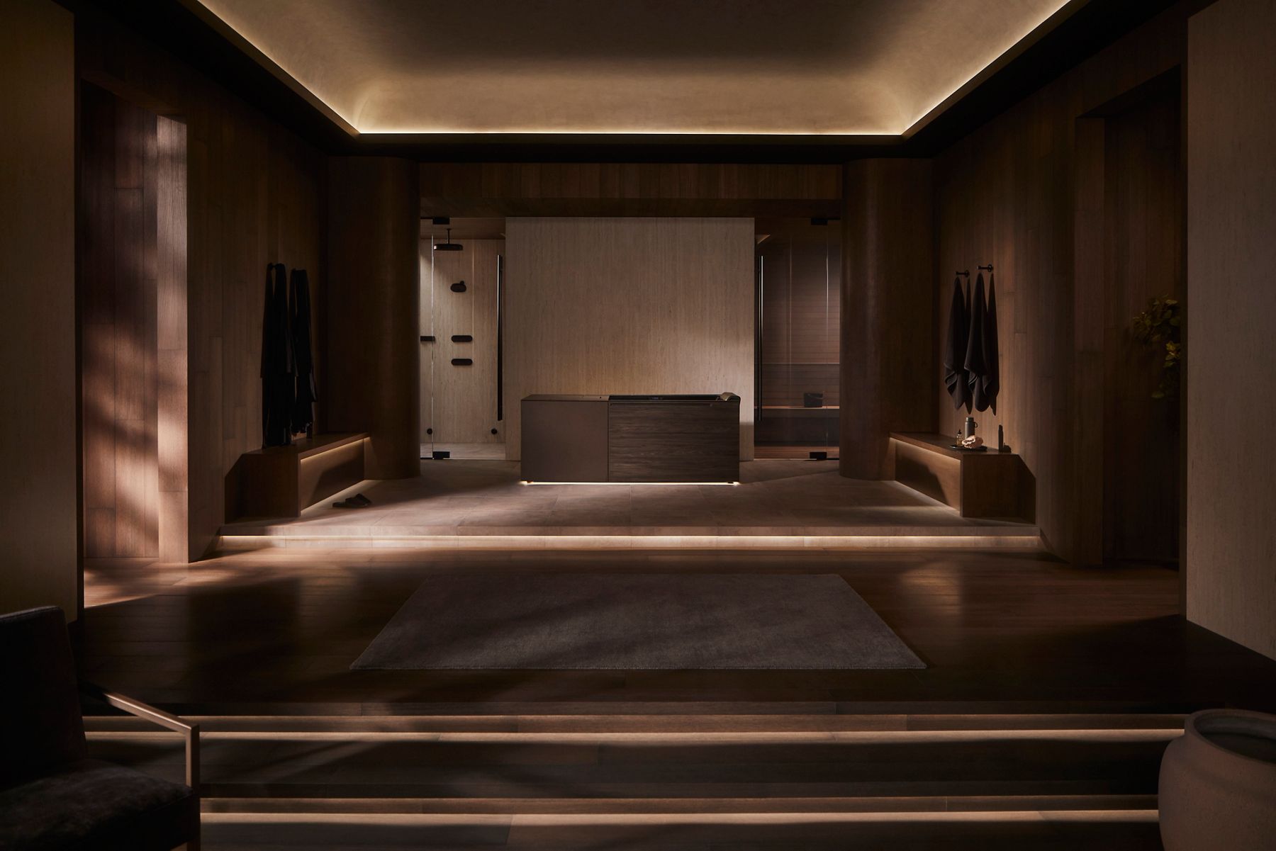 Une baignoire pour bain de glace moderne et élégante, conçue dans un mélange de bois foncé et de finis noir mat, dans un environnement de salle de bain minimaliste et haut de gamme, avec un éclairage chaleureux. La salle de bain comprend des partitions en verre, des murs en bois et un éclairage subtil, mettant l’accent sur le style élégant et contemporain de la baignoire pour bain de glace.
