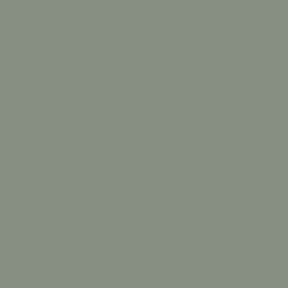Square color swatch of the Aspen Green Heritage Color.