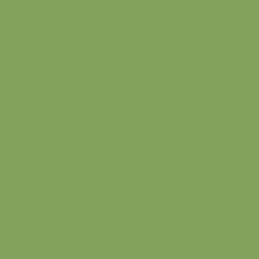 Square color swatch of the Fresh Green Heritage Color. 
