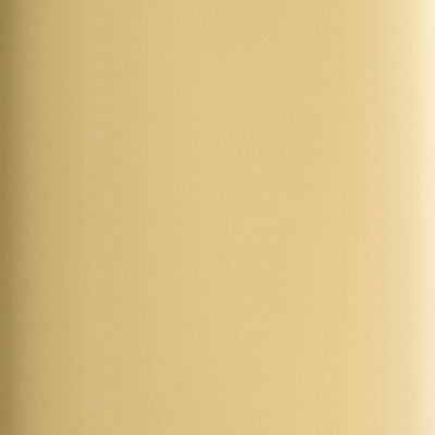 Swatch color of Vibrant Polished Brass