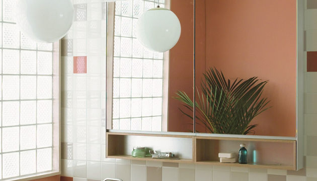 A Beginner's Guide to Various Bathroom Shelves Design