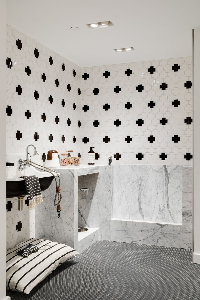 Ann Sacks Los Angeles showroom interior with dog wash vignette featuring ceramic wall tile in swiss cross pattern