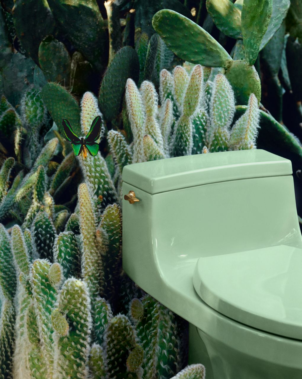 A slightly side profile of a pale green toilet with the lid shut. The toilet has a gold flusher on the left side. The toilet is positioned among cacti and there is a green butterfly on one of the cacti.