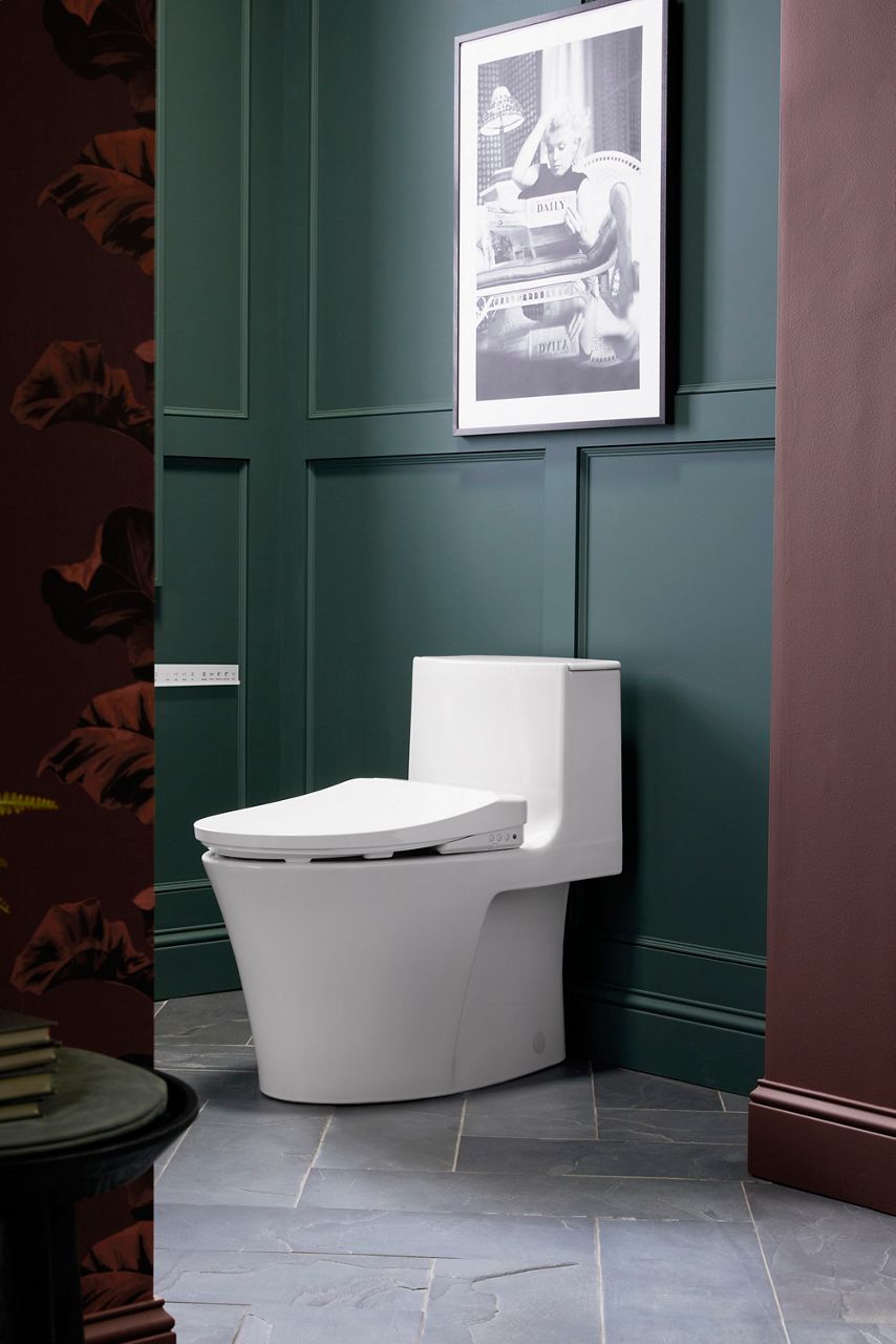 Kohler Bathroom Toilet Seats