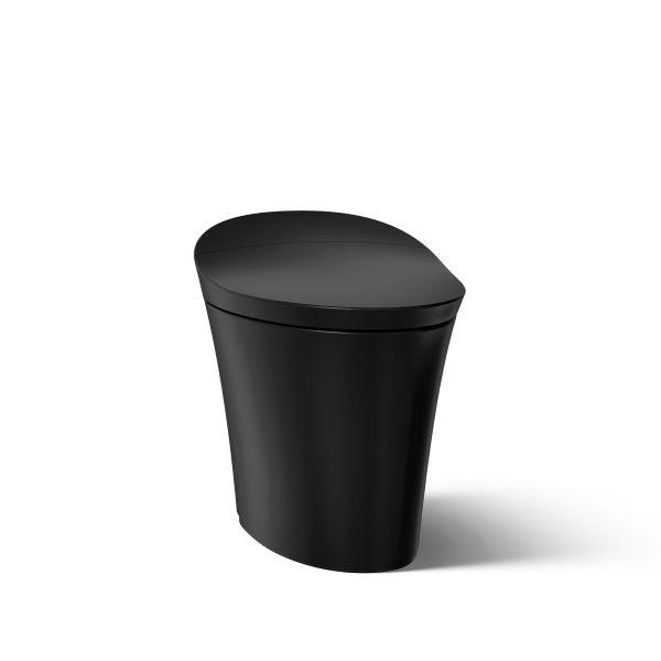 Image of Veil toilet.