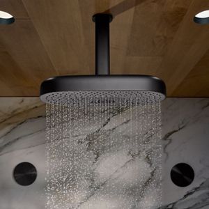 Kohler Rainheads