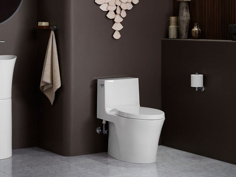 Standard Toilet