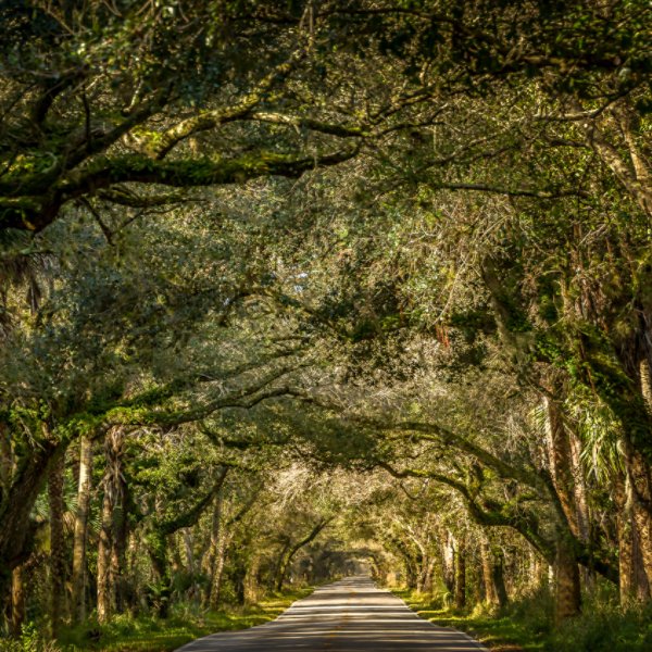 Road