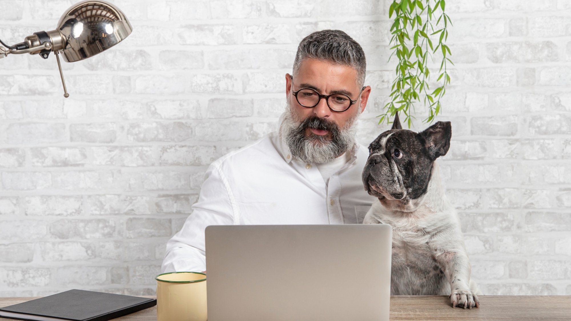 Freelance man working from home with his dog sitting together in office