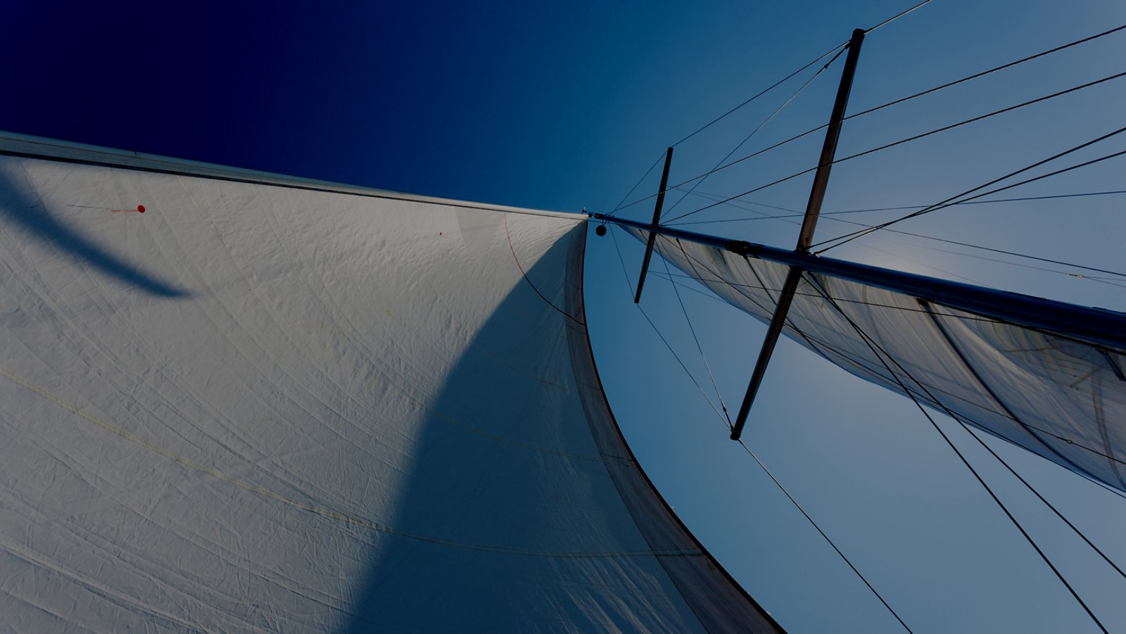 white sails against the blue sky