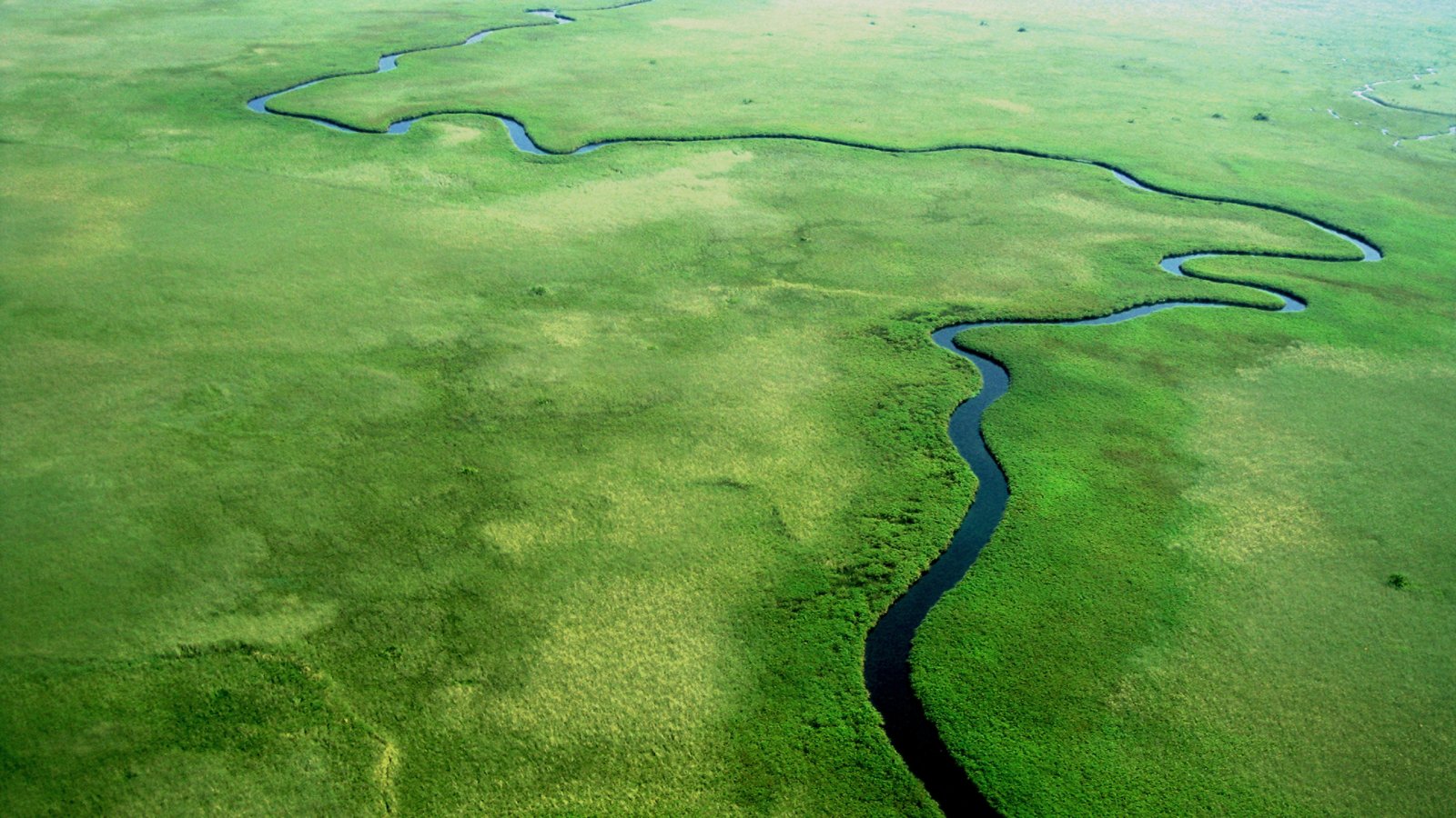 Aerial view of Zambezi, Botswana.