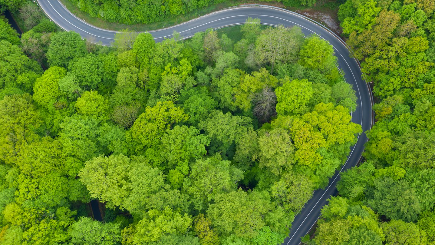 Winding rural road through fresh green forest in springtime. Steigerwald, Franconia, Bavaria, Germany.