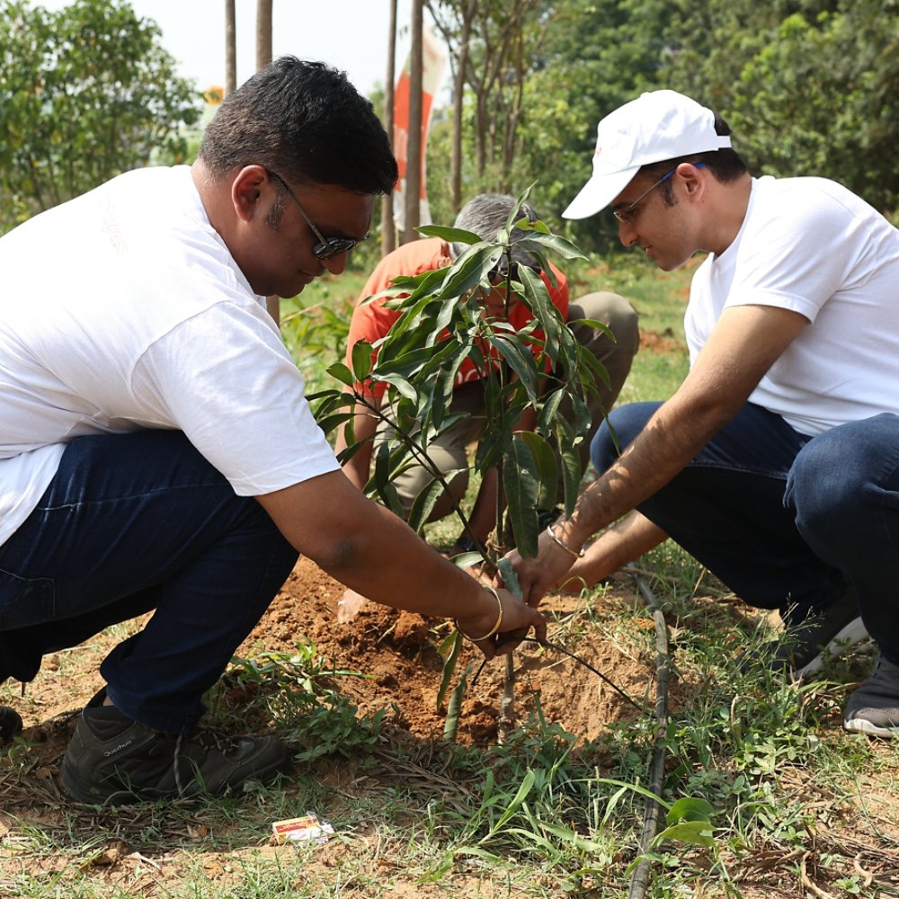 3 Kyndryl employees planting trees in India alt