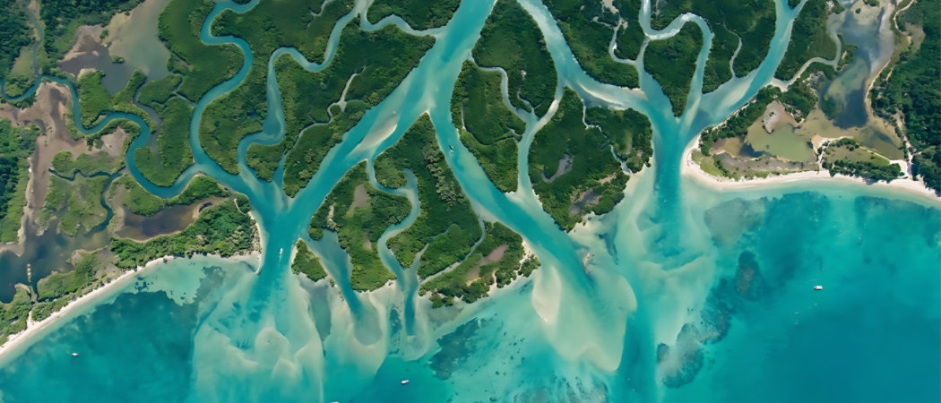 Aerial view of river delta coastline with turquoise water and greenery