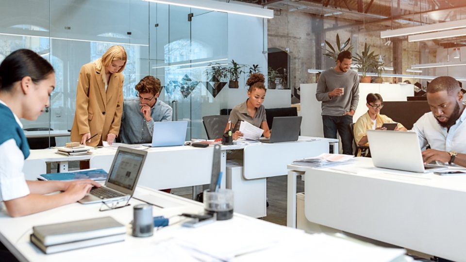 A groups of diverse people working in an office