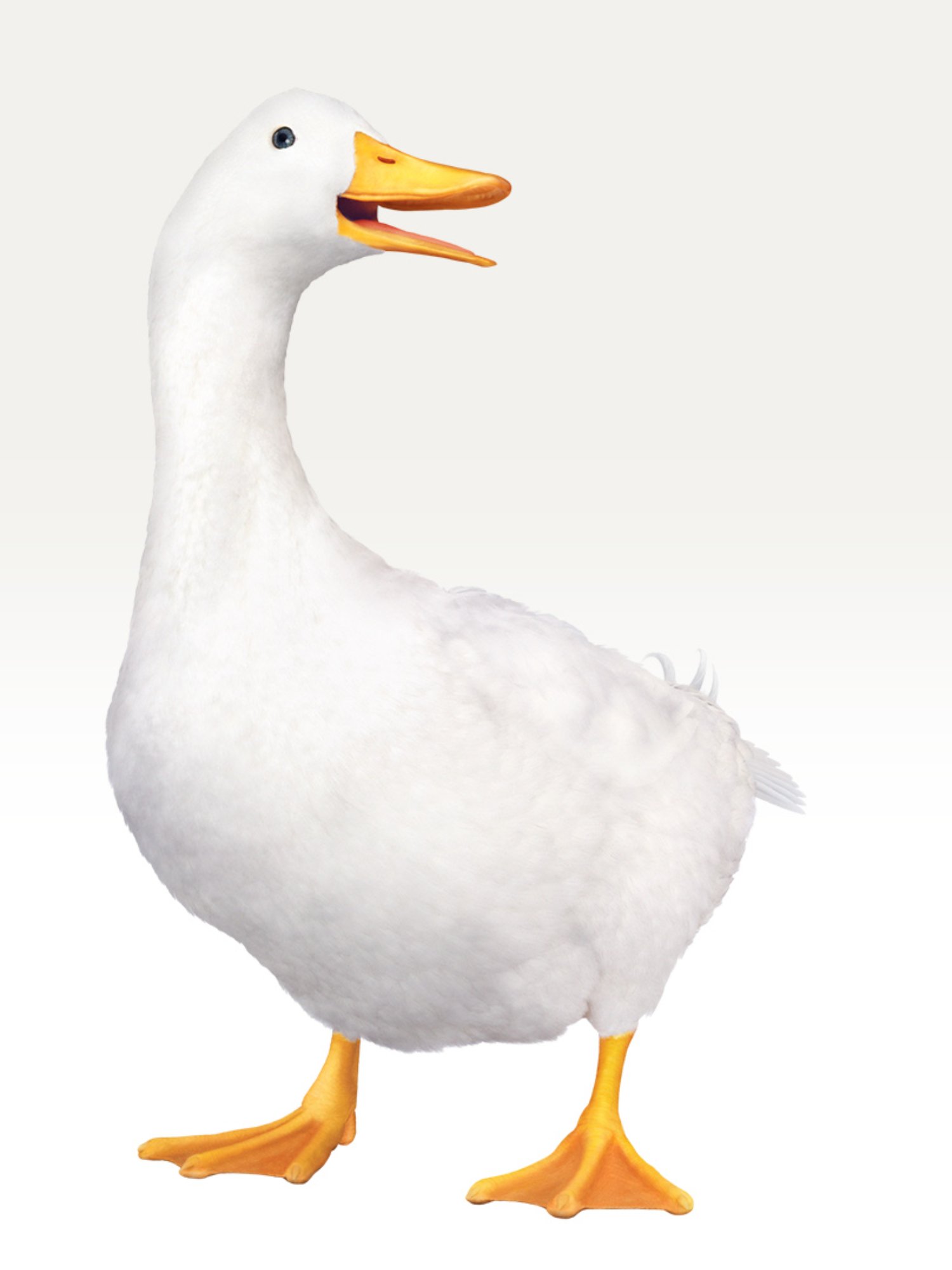 Aflac duck horizontal