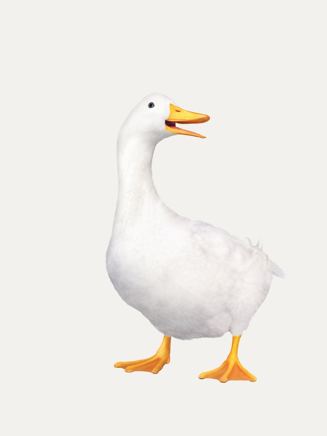 aflac duck small