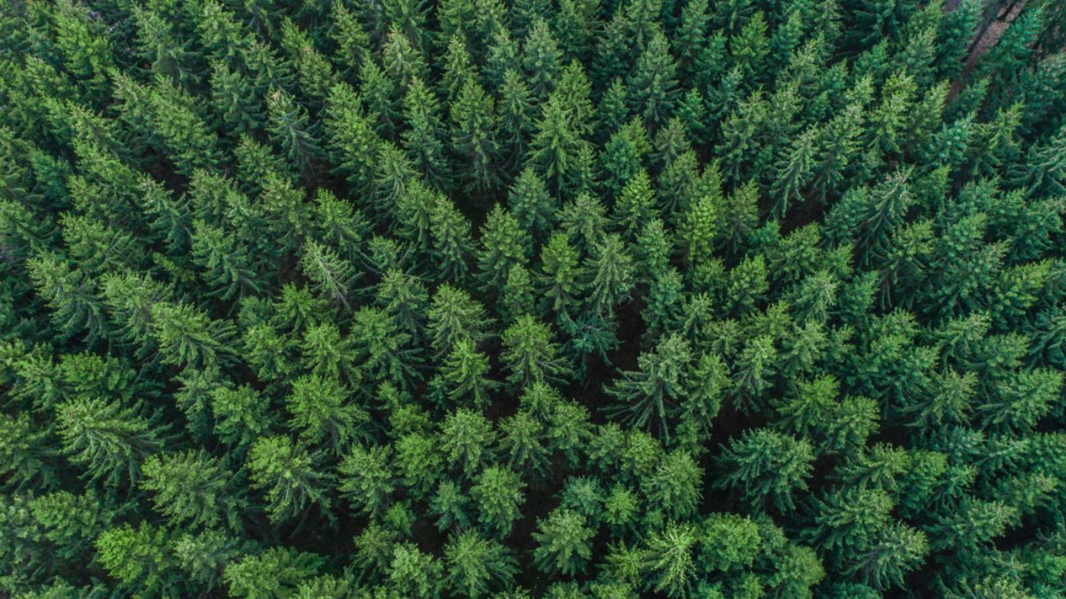 How Kyndryl is powering progress for people and planet