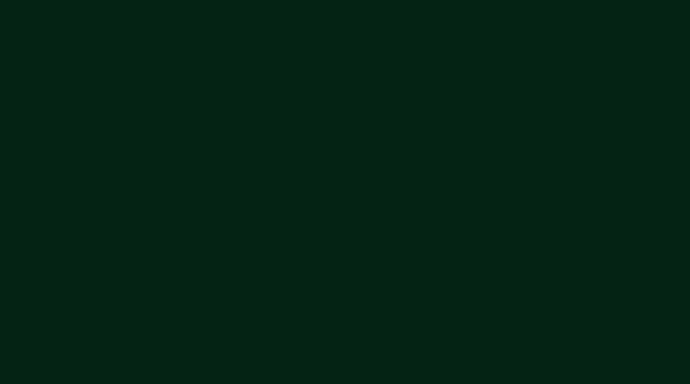 Deep forest color 16x19