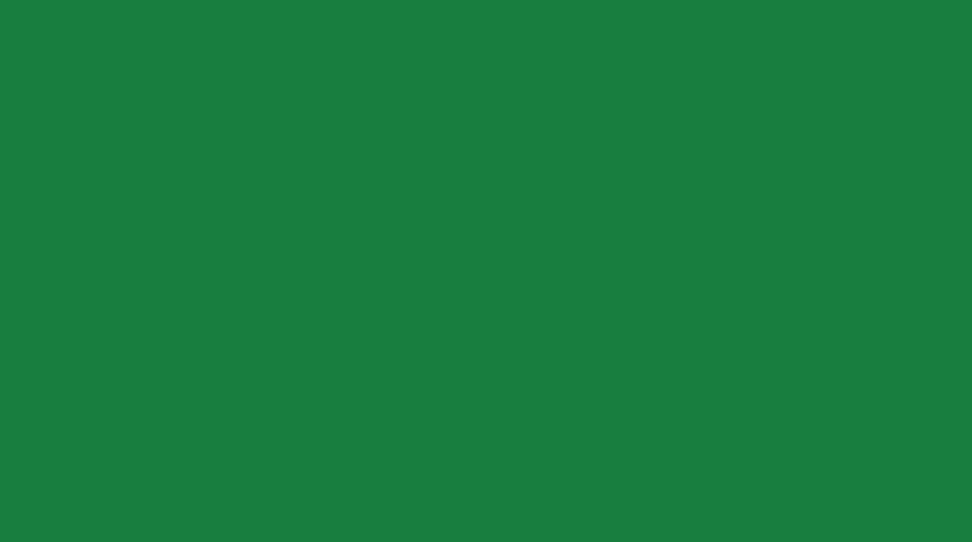 Digital dark spring green color swatch