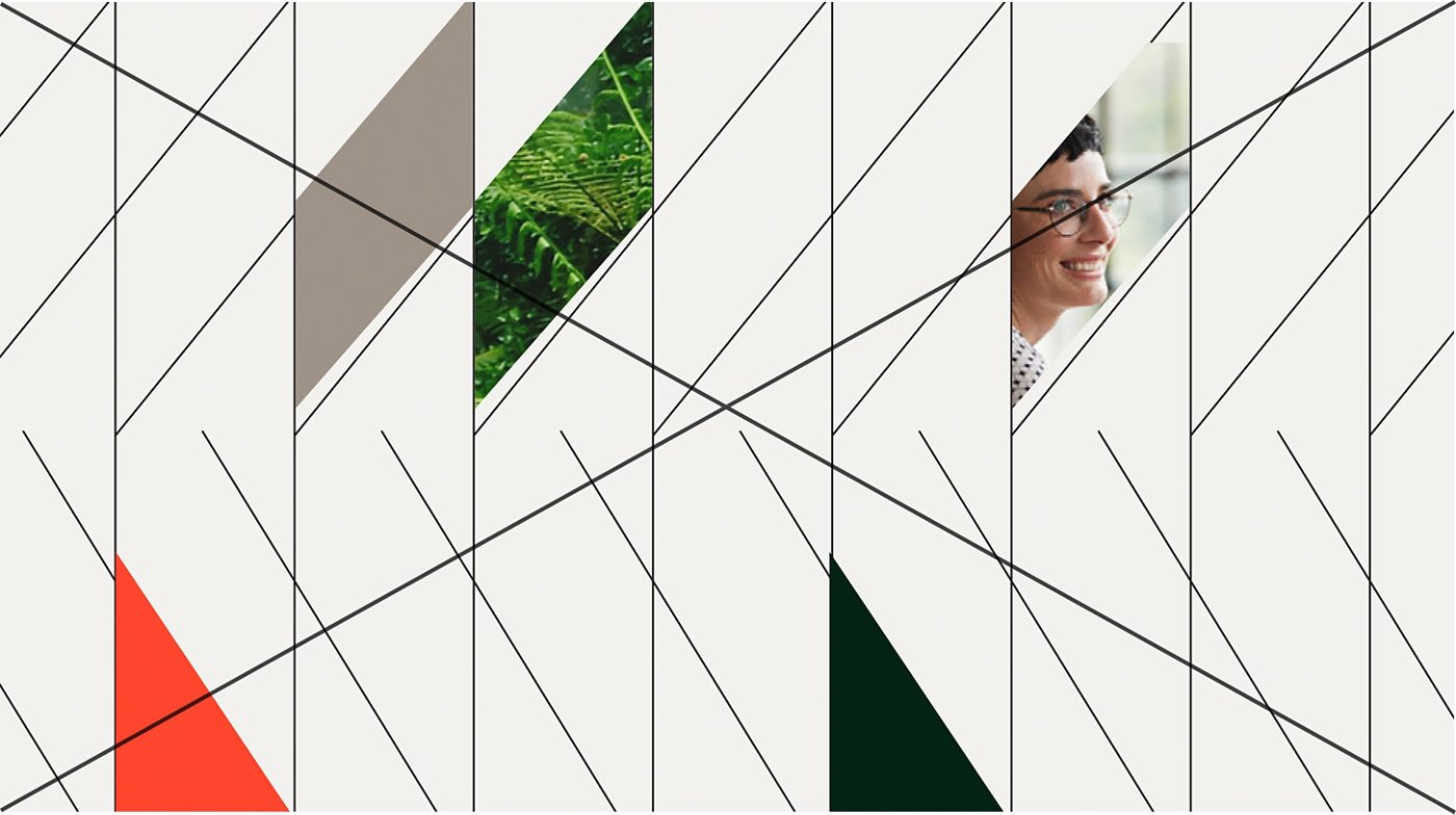 Do not color or place elements inside