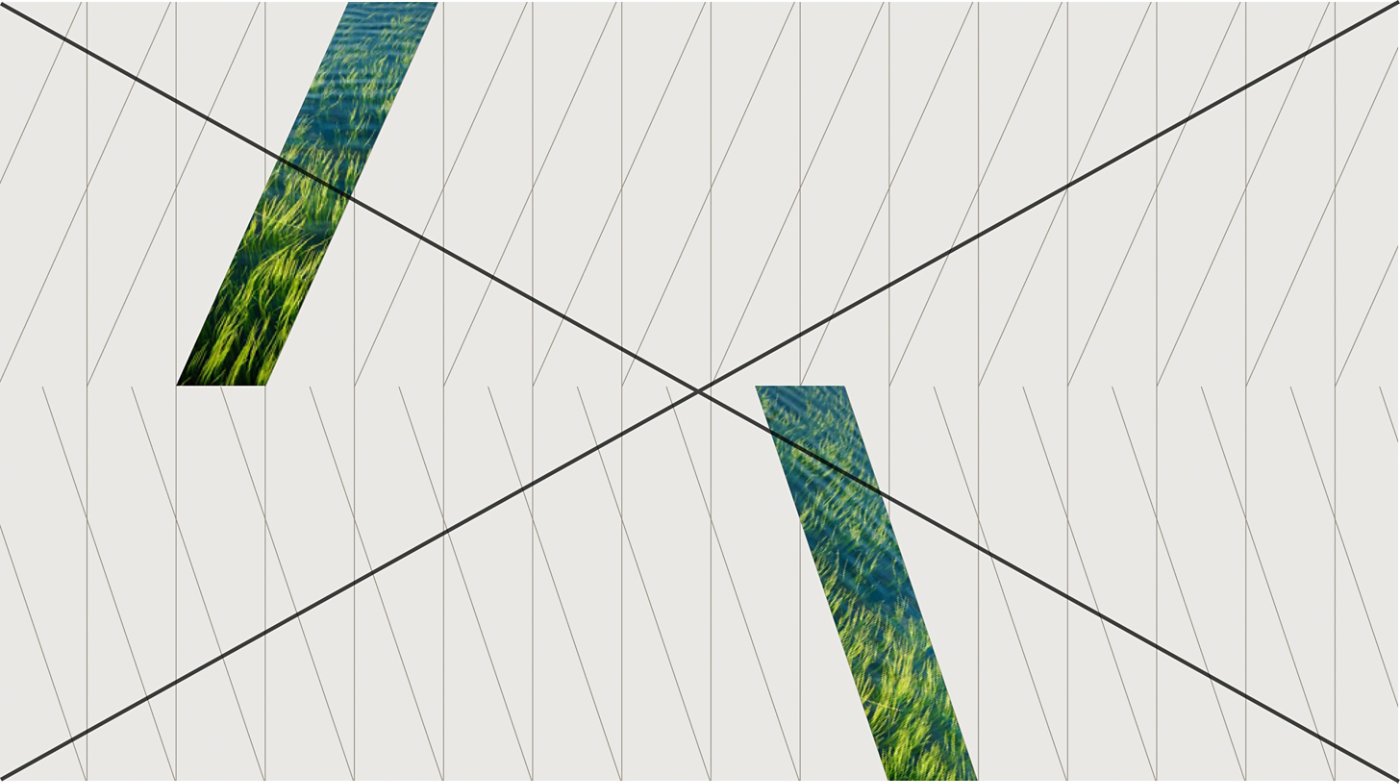 Do not place shape in trellis