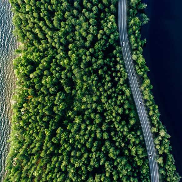 Aerial view of road in green woods and blue lakes water in summer Finland