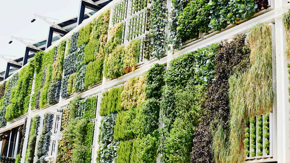 Sustainability network edge compute