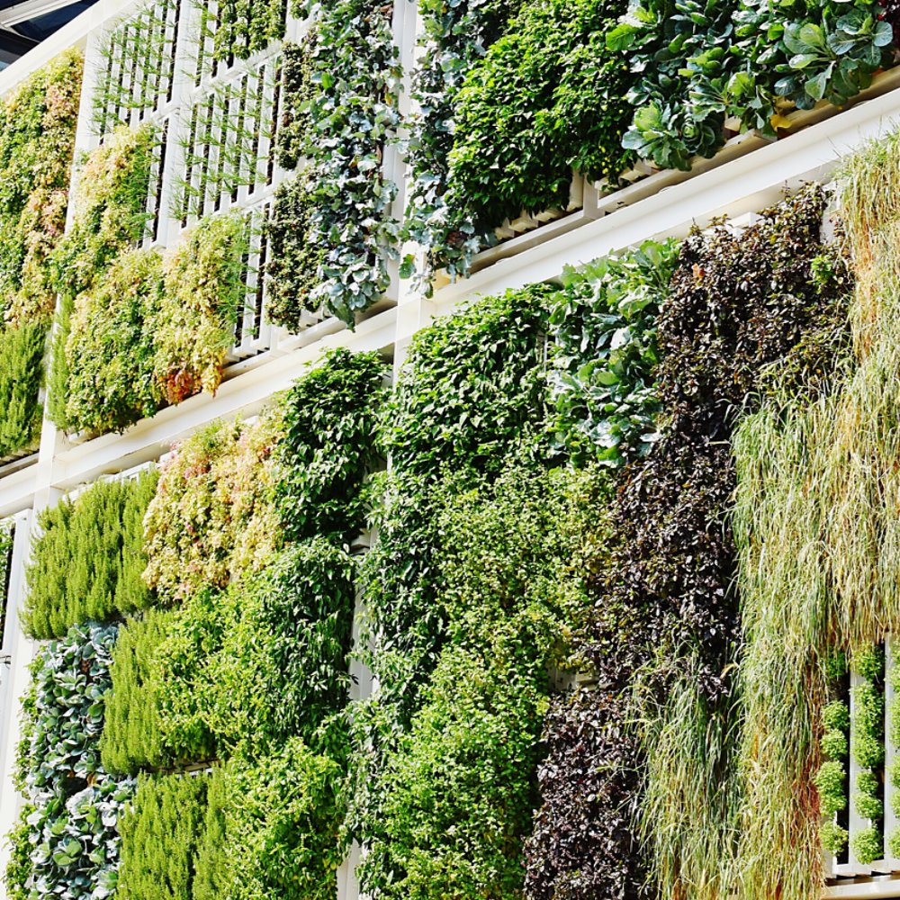 Sustainability network edge compute