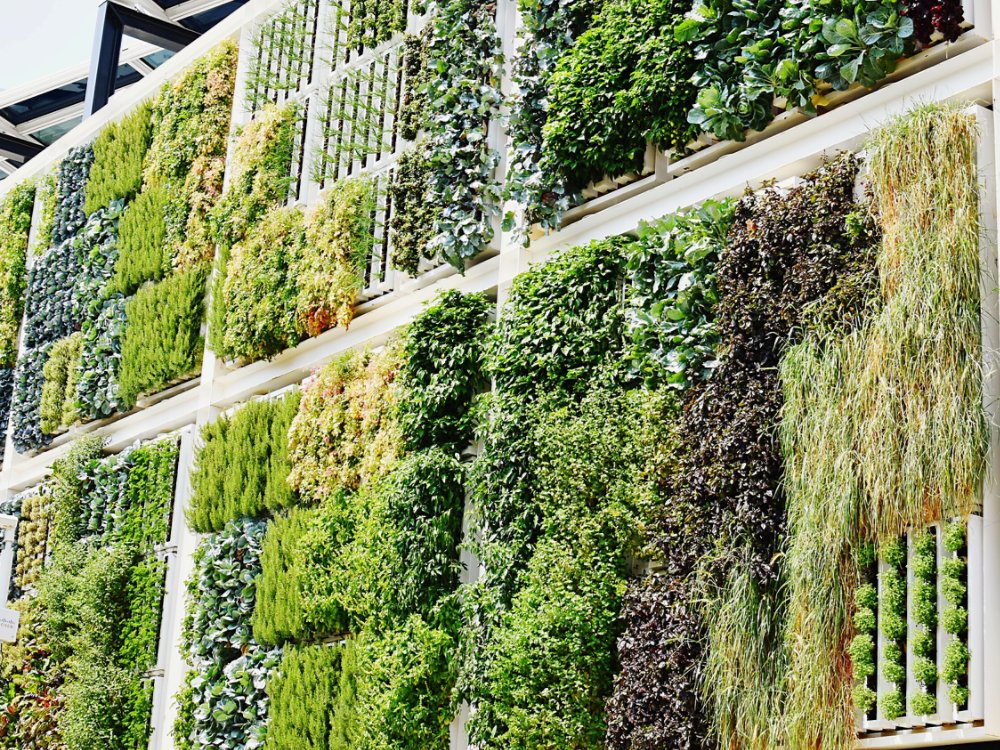 Sustainability network edge compute