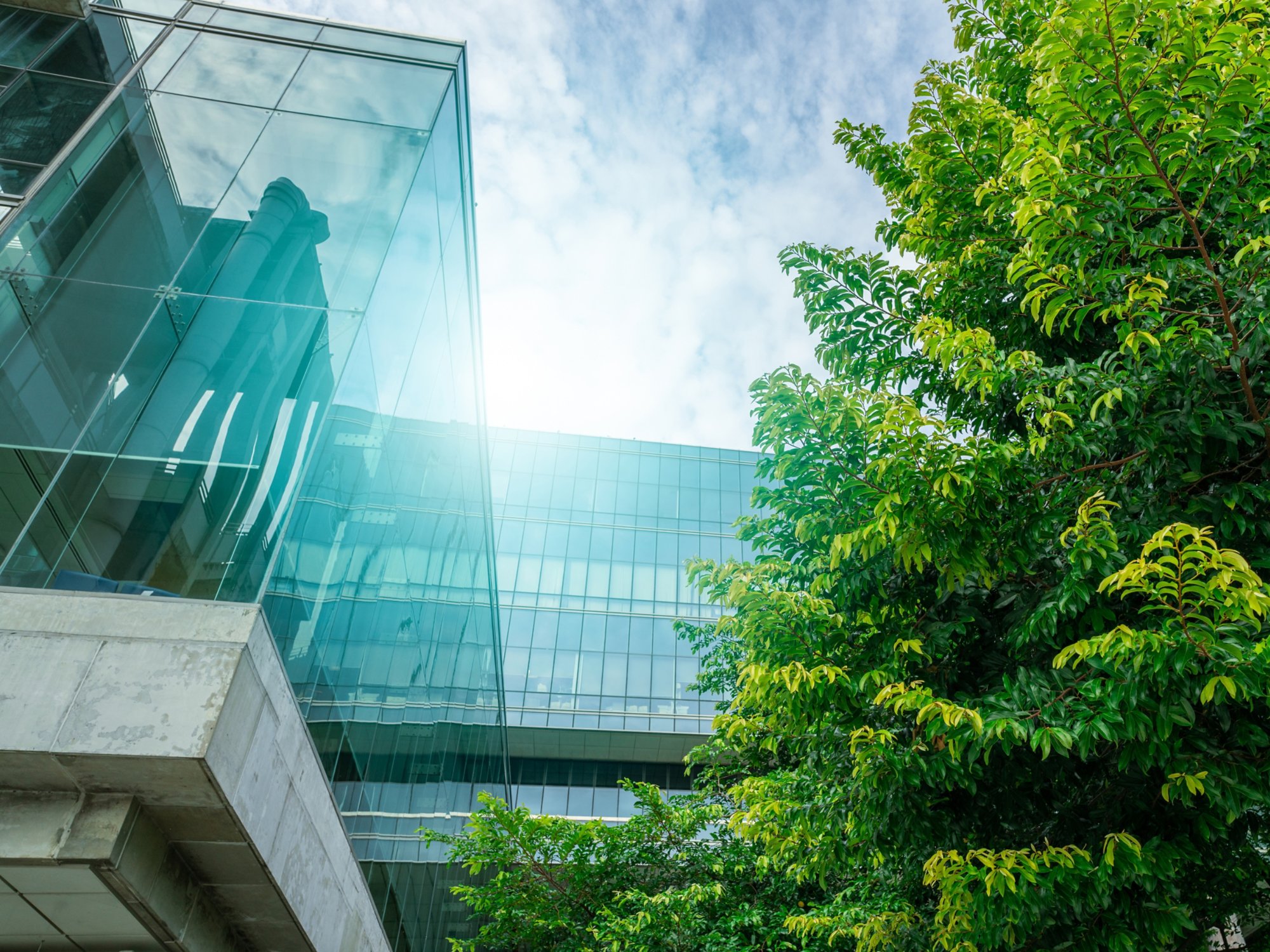 Sustainable green building. Eco-friendly building. Sustainable glass office building with trees for reducing carbon dioxide. Green company office with green environment. Corporate building reduce CO2.
