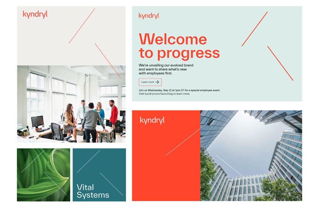 Examples of vital k in use