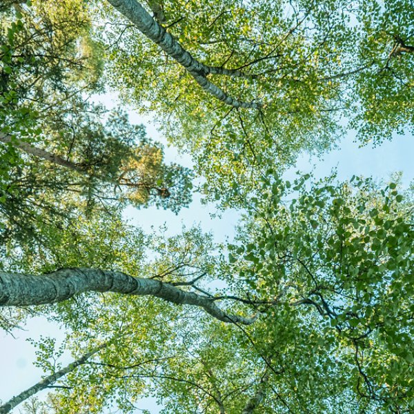 Mainframe Magic! Kyndryl Mainframe Services Recognized by IT Analysts