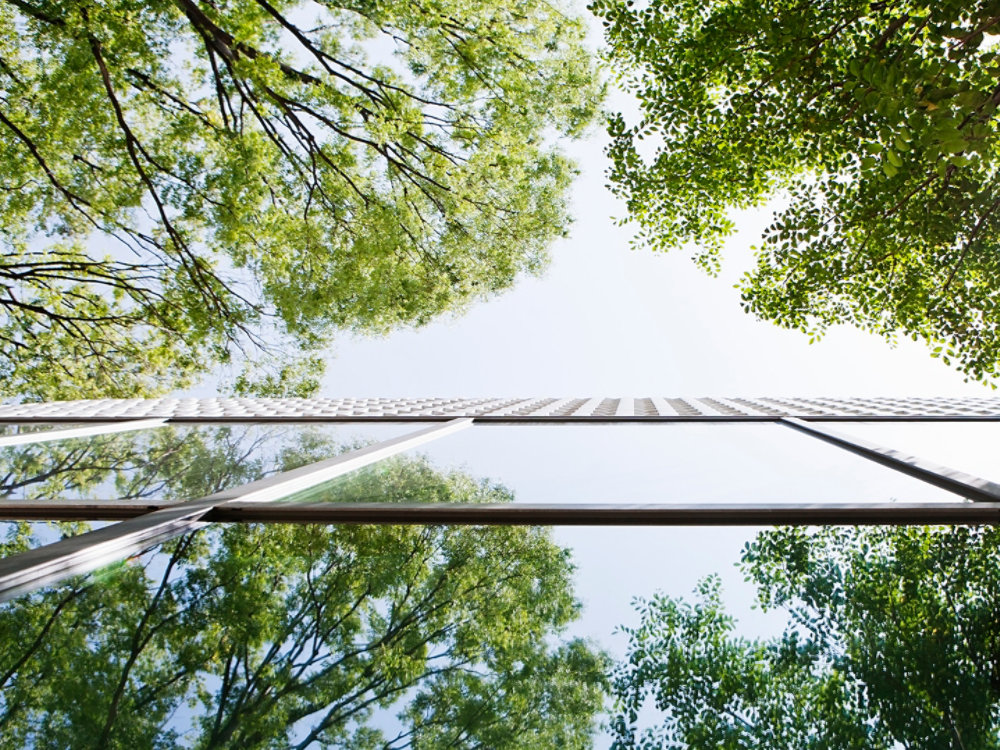 Glass-walled building reflecting trees. This is shoot with a composition to look up from a lower place.