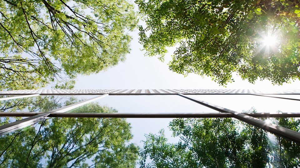 Glass-walled building reflecting trees. This is shoot with a composition to look up from a lower place.