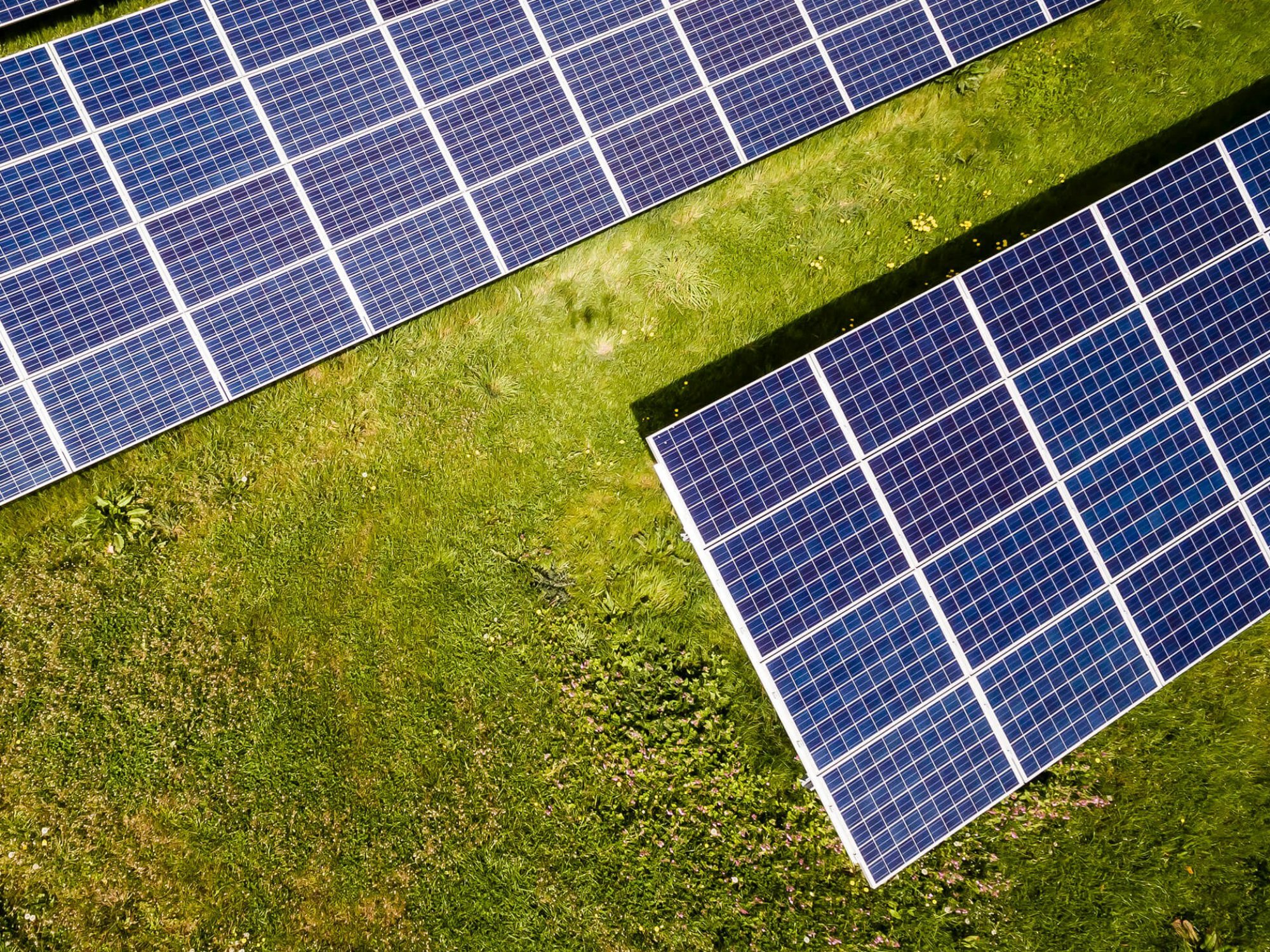 global-sustainability-baromter