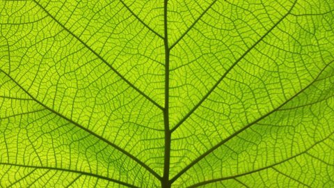 Cover image for Corporate Citizen Report