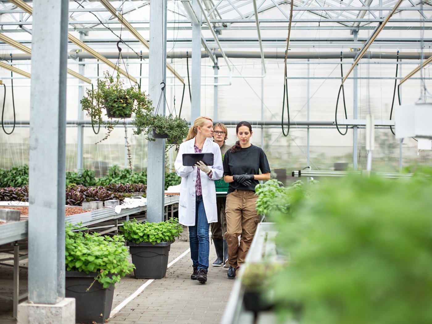 Female scientist with garden workers in greenhouse