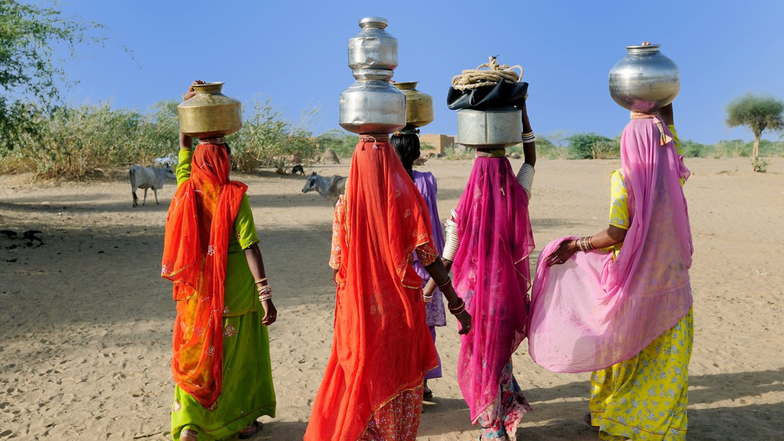 Thar desert near Jaisamler. Ethnic women going for the water in well on the desert. Rajasthan, India. 