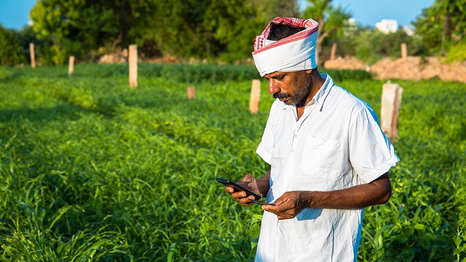 Mature Indian farmer holding a master credit debit card with mobile phone doing mobile internet banking for payments standing in field copy space to write text, technology and agriculture concept