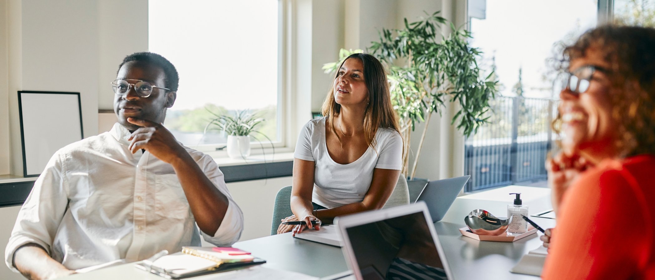 A group of diverse individuals engages in a productive business meeting, brainstorming ideas in a modern, sunlit office space filled with natural light and greenery.