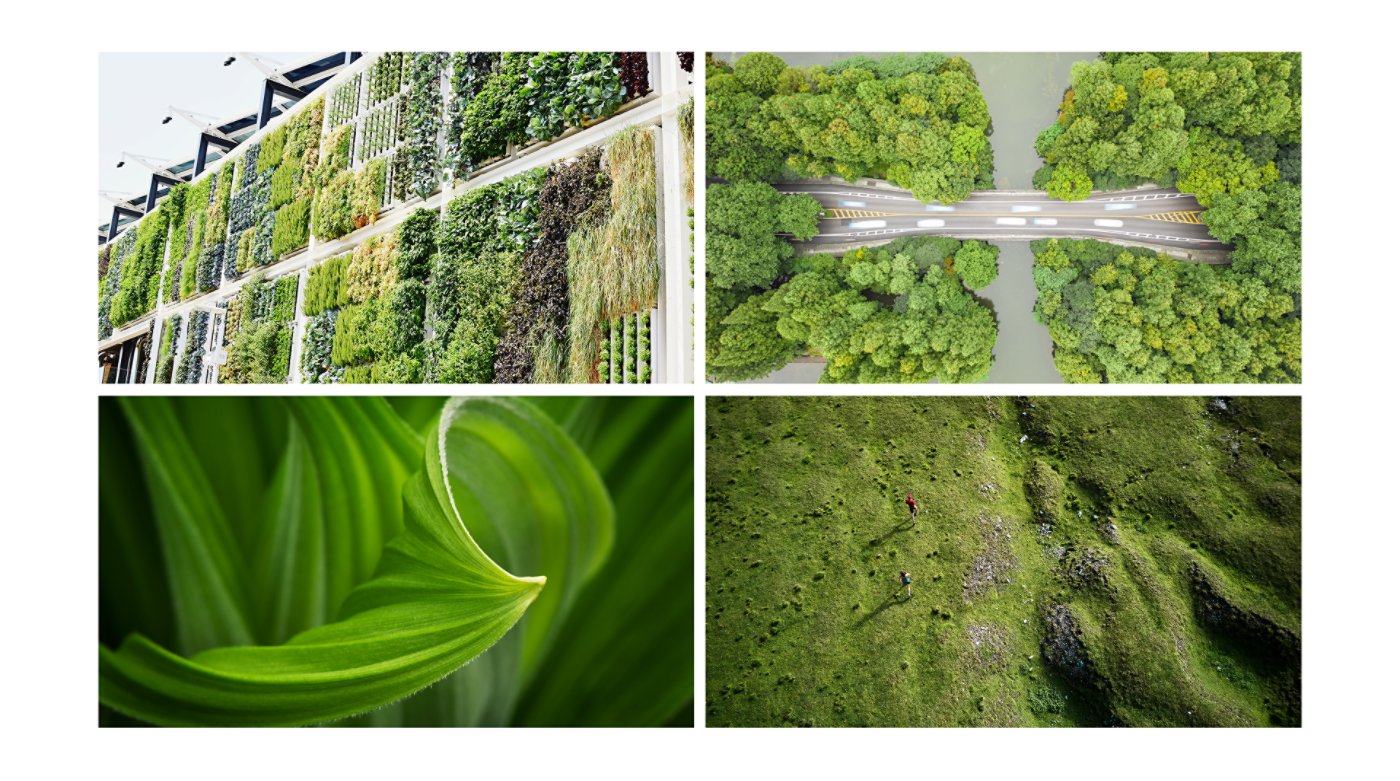 Living systems grid examples