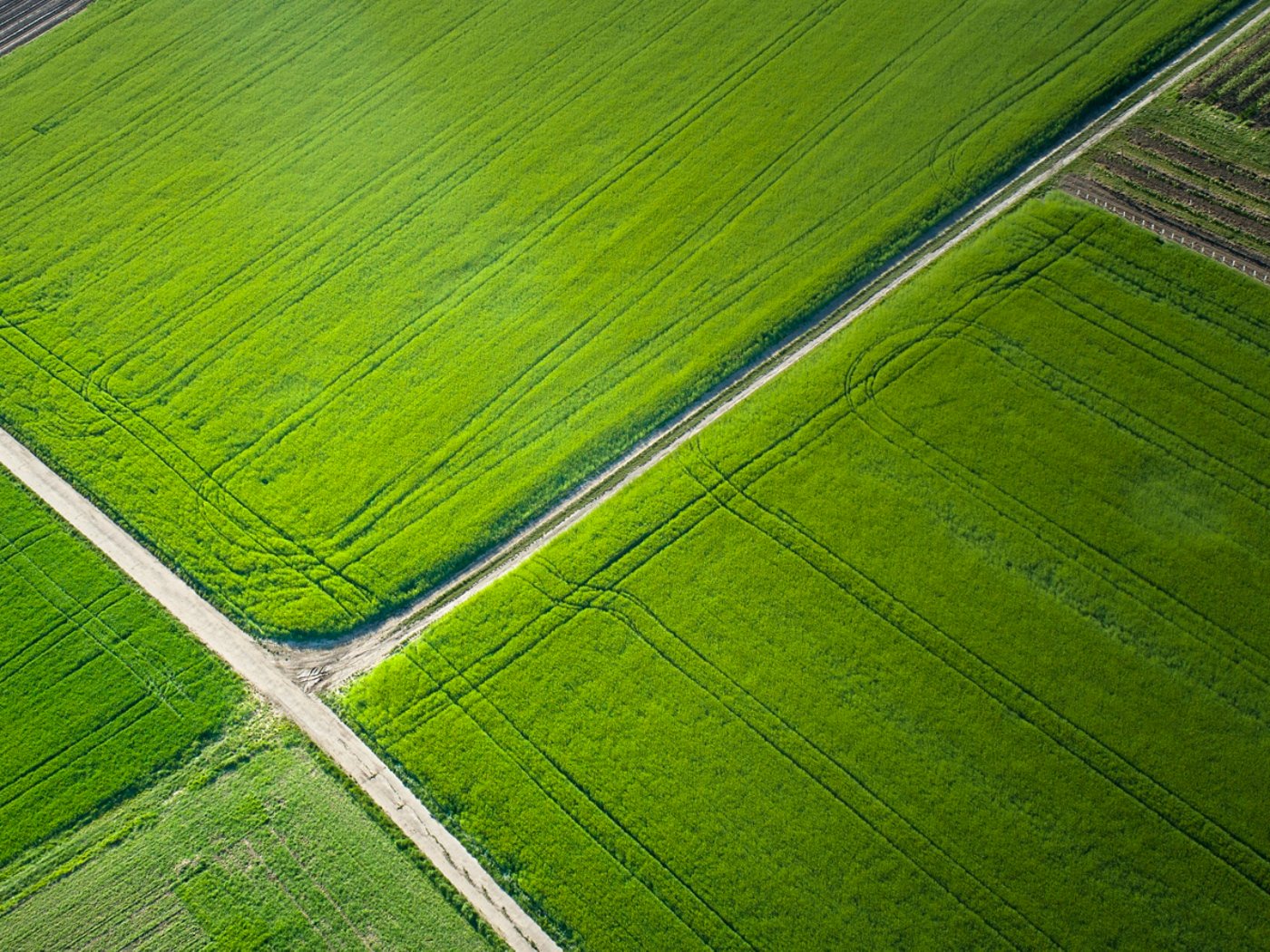 Agricultural area - view from above