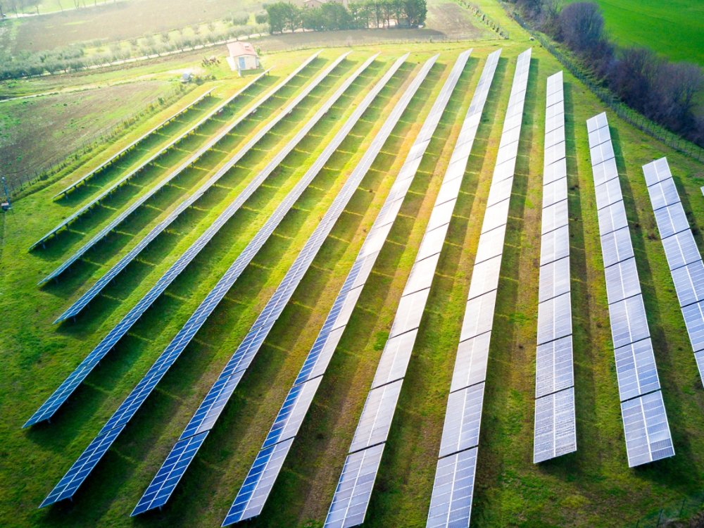 aerial view of solar panels on a sunny day. power farm producing clean energy