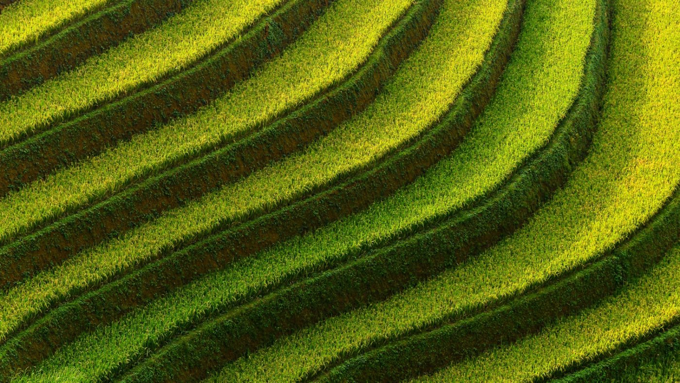 Mu Cang Chai is located in the Northern part of Vietnam at 1000 meters above the sea level. Its terraced rice fields hold the most magnificent beauty that the world has to offer. It is one of the few most beautiful and picturesque places on earth.
